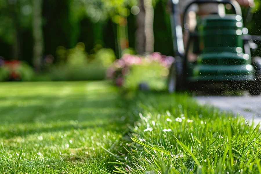 electric mulch lawn mower